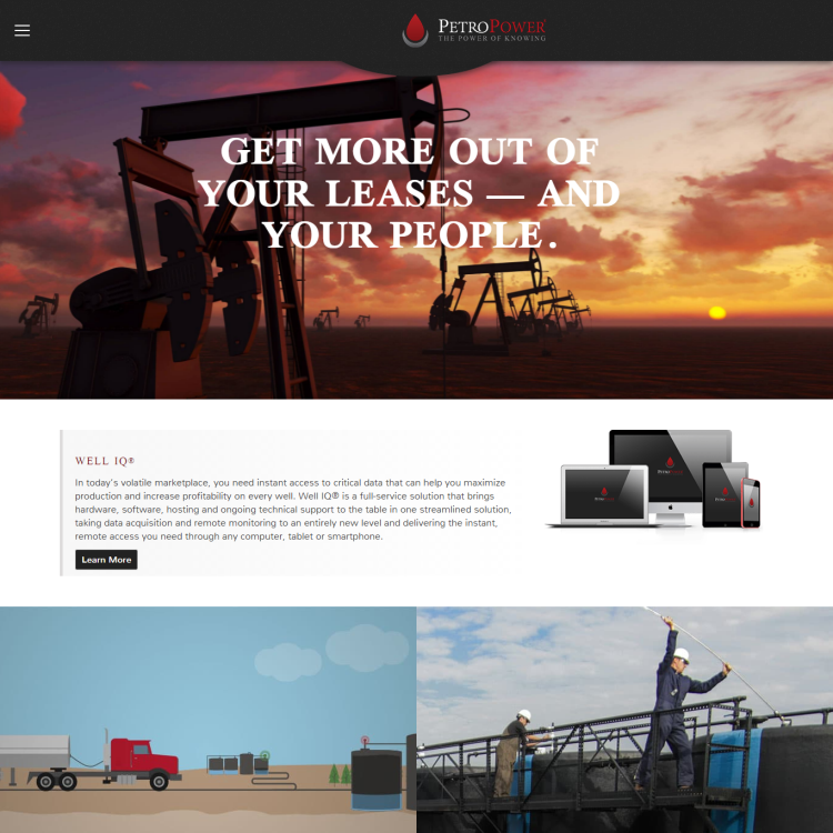 Web Development for Petro company